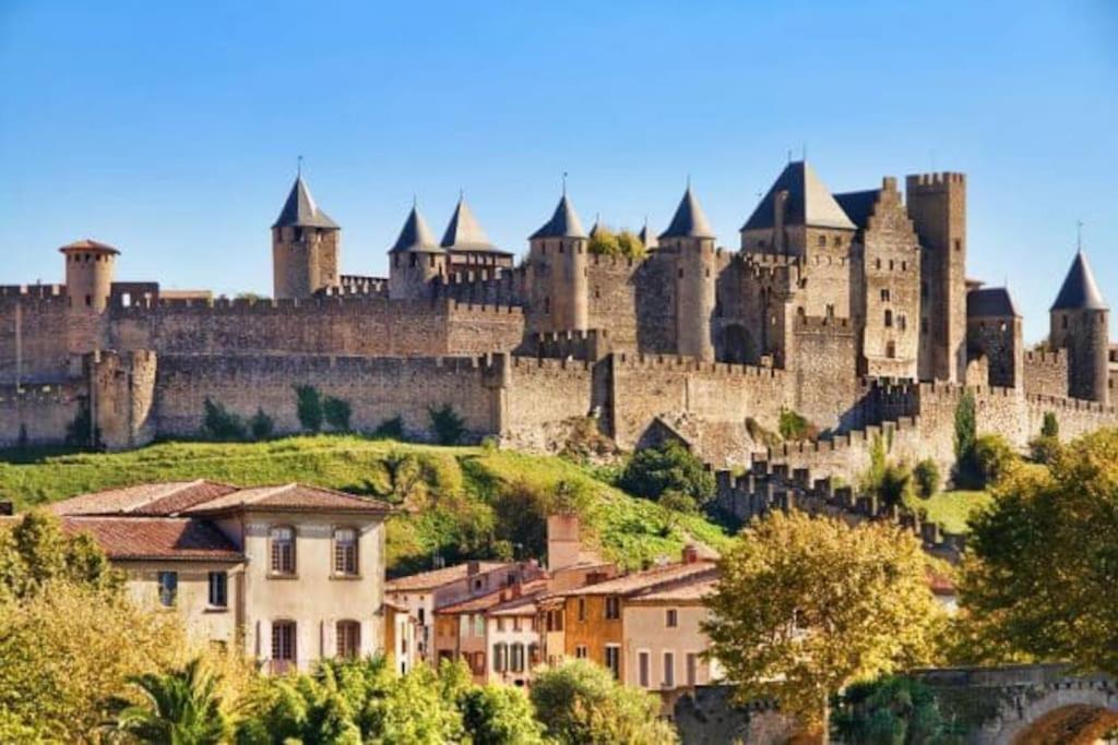 Appartement Dame Carcas à Carcassonne Extérieur photo