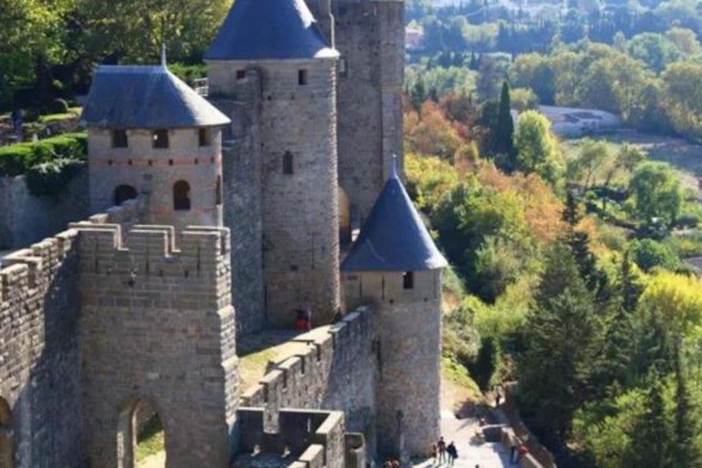 Appartement Dame Carcas à Carcassonne Extérieur photo